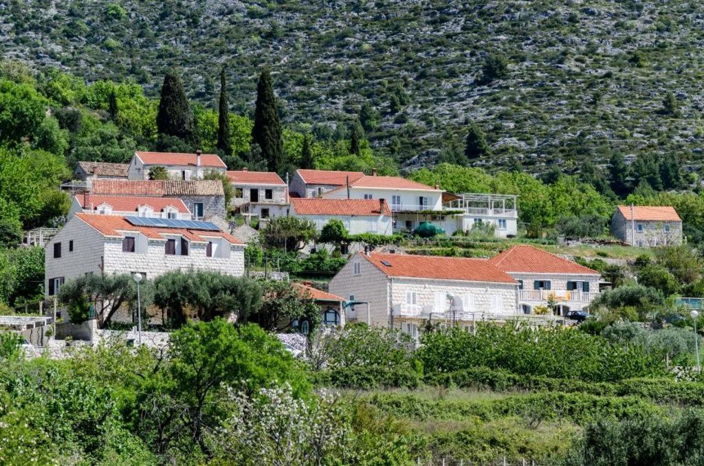 Guesthouse Moretic Orasac Quarto foto